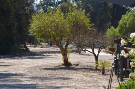 Golden-Meadows-Facility-13